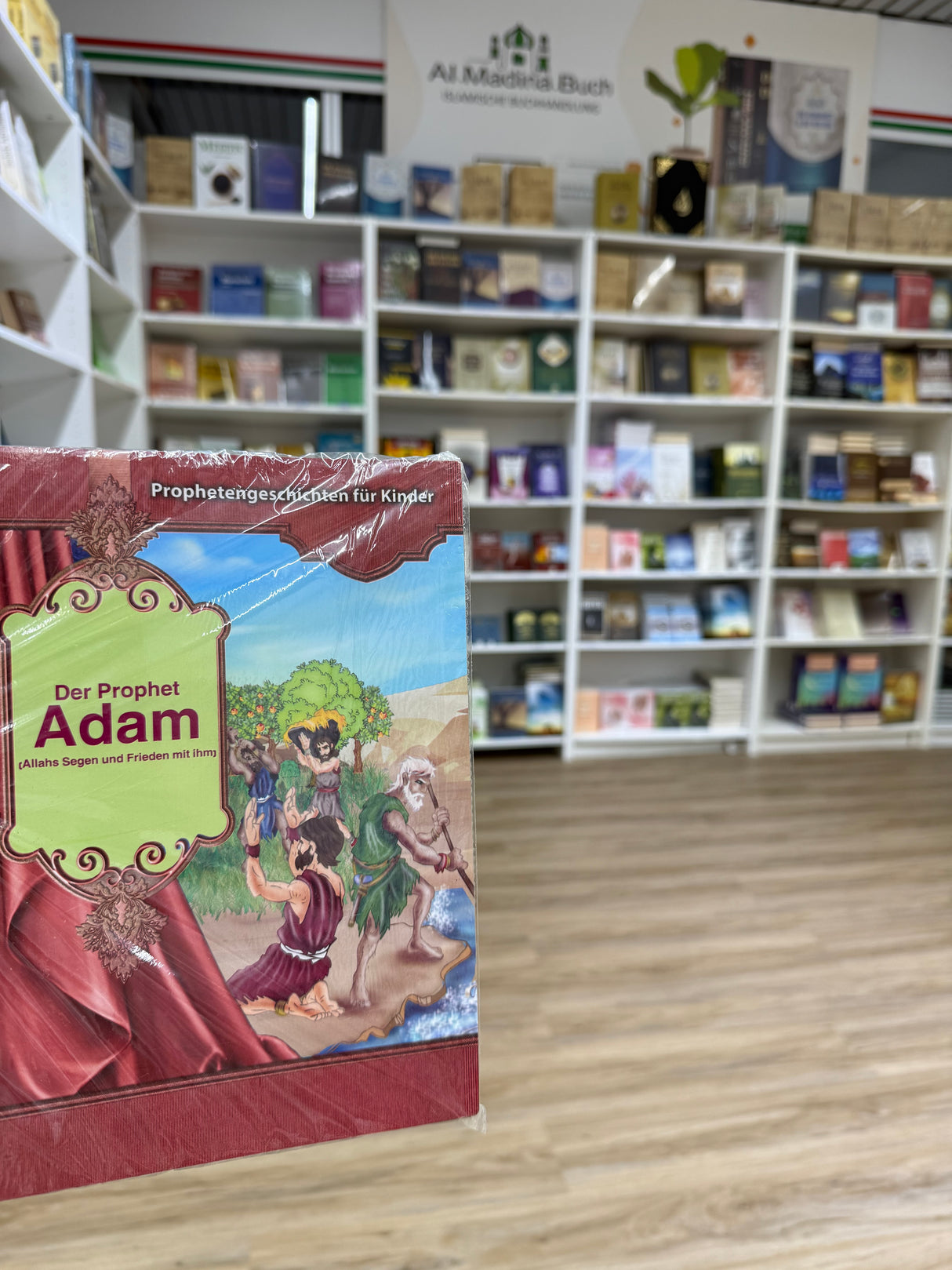 Prophetengeschichten für Kinder - 12-Set