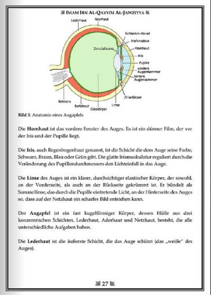 ALLAH kennenlernen durch Seine Schöpfung