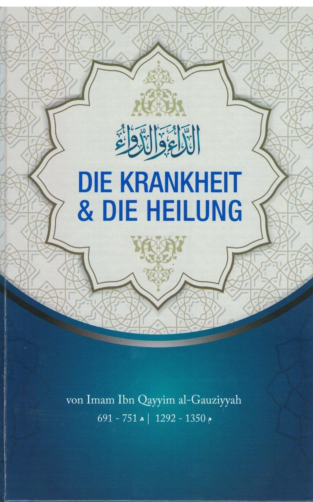 Die Krankheit und Die Heilung (Hardcover)
