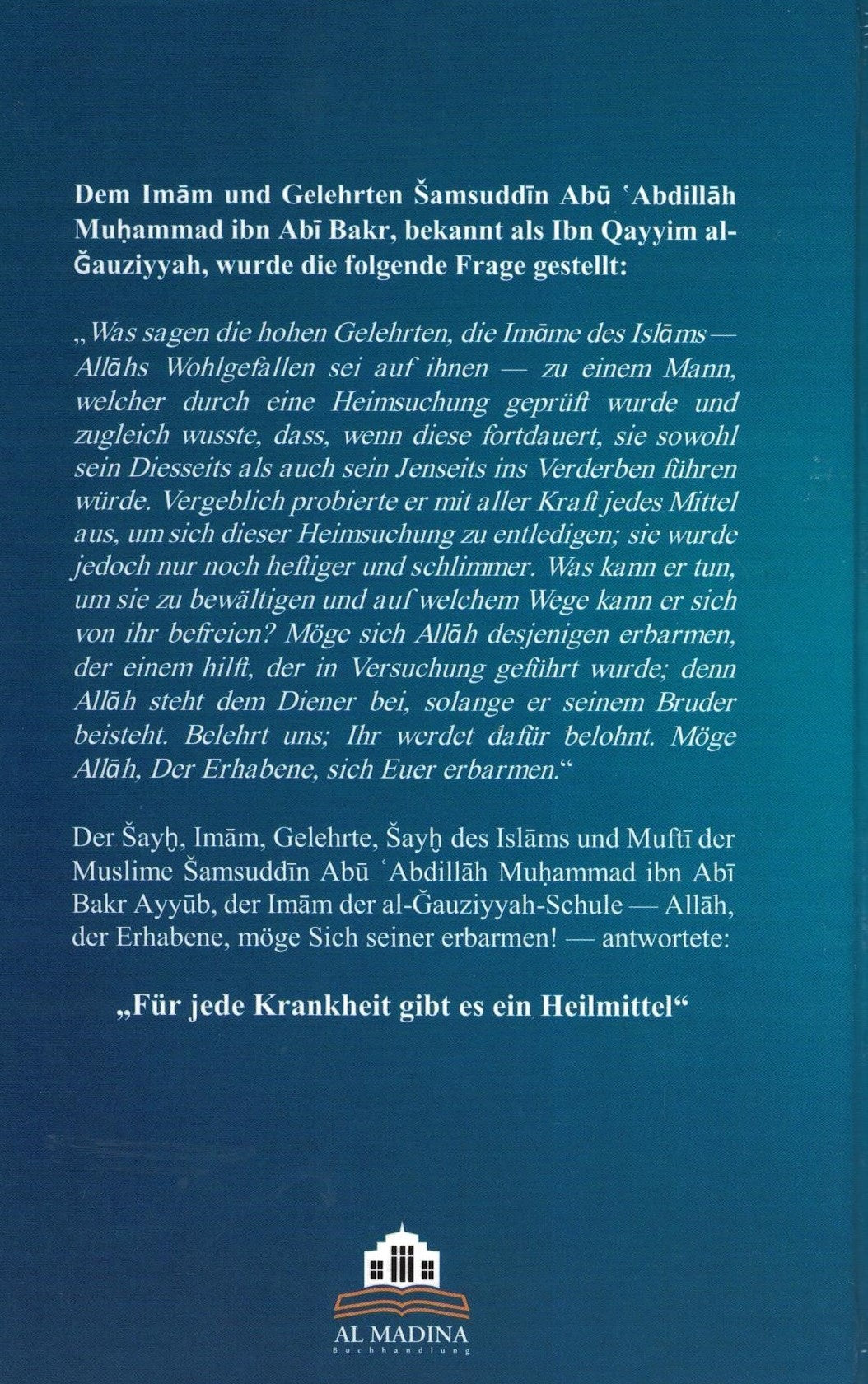 Die Krankheit und Die Heilung (Hardcover)